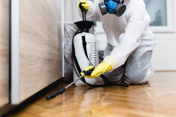 Best Best Pest Control Companies  in Sandy Springs, SC