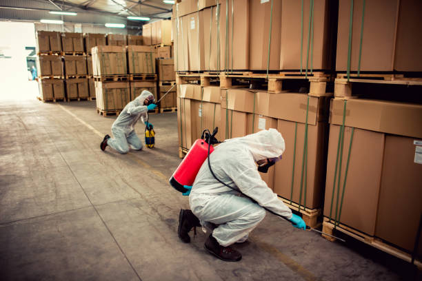 Sandy Springs, SC Pest Control Company