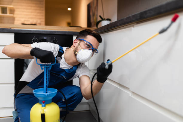 Best Pest Control for Homes  in Sandy Springs, SC
