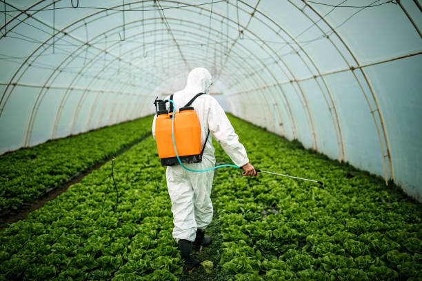 Best Commercial Pest Control Services  in Sandy Springs, SC
