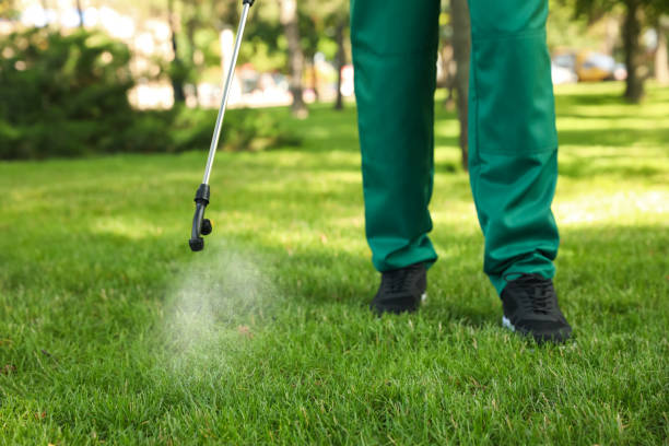 Best Pest Control Treatment  in Sandy Springs, SC