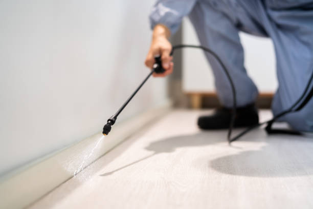 Professional Pest Control in Sandy Springs, SC
