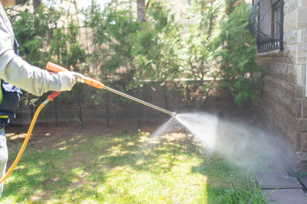 Best Affordable Pest Control Services  in Sandy Springs, SC