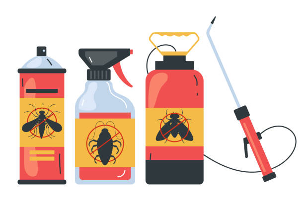 Best Spider Control Near Me  in Sandy Springs, SC