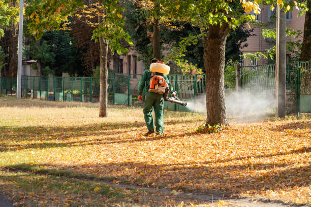 Best Bed Bug Extermination  in Sandy Springs, SC