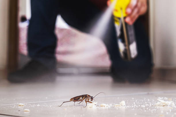 Best Cockroach Control Services  in Sandy Springs, SC
