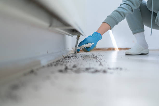 Best Wildlife Control Services  in Sandy Springs, SC