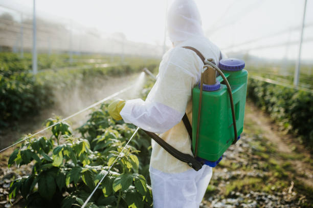 Best Best Pest Control Companies  in Sandy Springs, SC